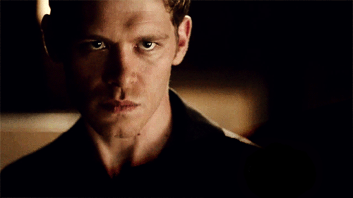 27+ Klaus Mikaelson Blood Gif Pics